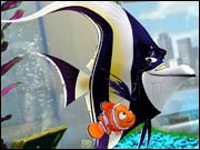 Nemo Online Coloring